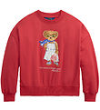 Polo Ralph Lauren Collegepaita - Punainen M. Pehmolelu