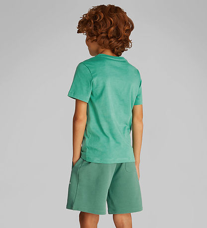 Calvin Klein Stuttermabolur - Bringa Surf Grafík - Bahama Green