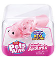 Pets Alive Kylpylelut - uinti Axolotl - Vaaleanpunainen