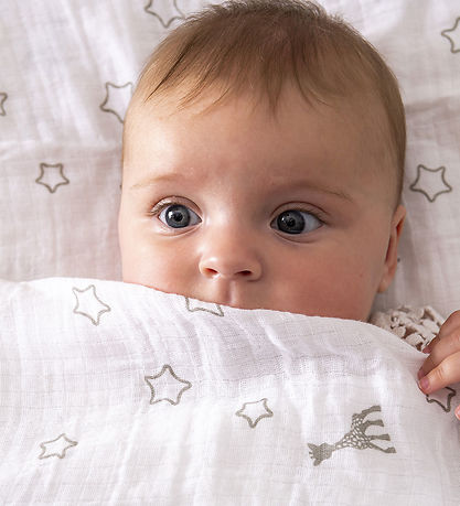 Sophie la Girafe Gift Box - Teether/Muslin Cloth