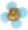 Tiger Tribe Toys - Sensory Spinner - Bear Tiger Tribe Toys - Sensory Spinner - Bear