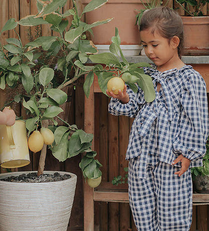 Fliink Blouse - Zorro - Insignia Sandshell Check Fliink Blouse - Zorro - Insignia Sandshell Check