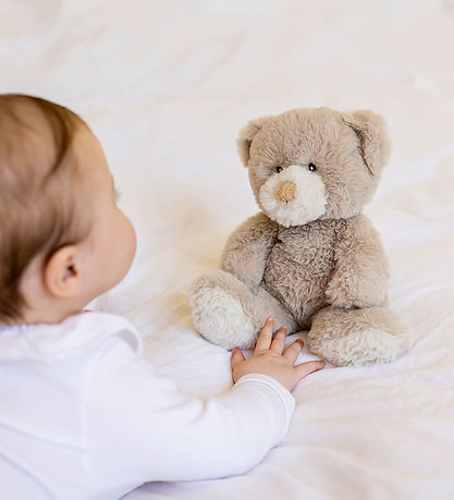 Teddykompaniet Soft Toy - Teddy bear Beige - 25 cm