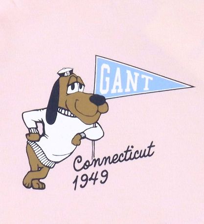 Blouse GANT - Graphique - Salmon Blouse GANT - Graphique - Salmon