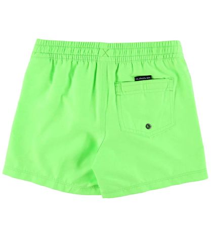 Quiksilver Badshorts - Everyday - Green Gecko