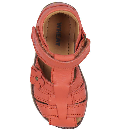 Wheat Sandals - Sky - Coral