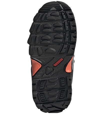 adidas Performance Schoenen - Terrex Skychaser MI - Shanav/Greth