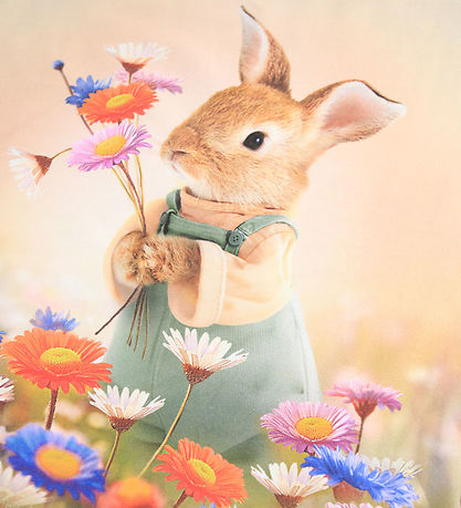 T-Shirt Molo - Ragnhilde - Bunny Rabbit