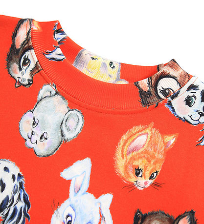 Molo Sweatshirt - Marge - Aufgehende Sonne