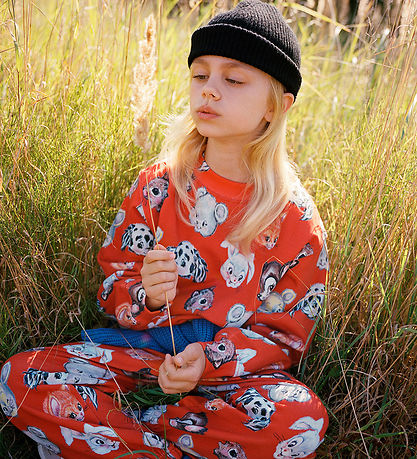 Molo Sweatshirt - Marge - Aufgehende Sonne Molo Sweatshirt - Marge - Aufgehende Sonne
