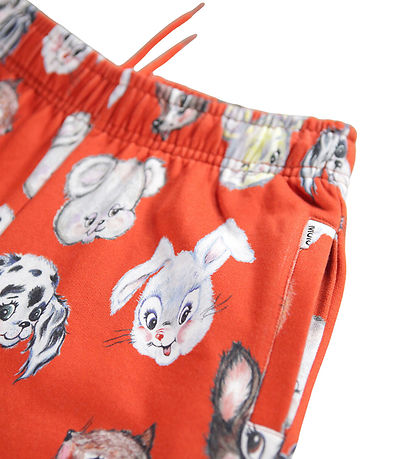 Pantalon de Jogging Molo - Adan - Soleil levant