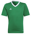 adidas Performance T-shirt - ENT22 - Teagrn/White adidas Performance T-shirt - ENT22 - Teagrn/White