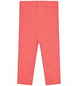 Leggings Hust and Claire - Lisa Pointelle Flower - Wild Coral Leggings Hust and Claire - Lisa Pointelle Flower - Wild Coral