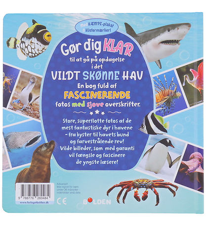 Forlaget Bolden Picture Book - Wildly Beautiful Sea