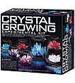 4M Set - Crystal Growing Experimental Kit