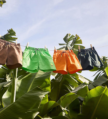 Molo Swim Shorts - UV50+ - Niko Solid - Wood Green
