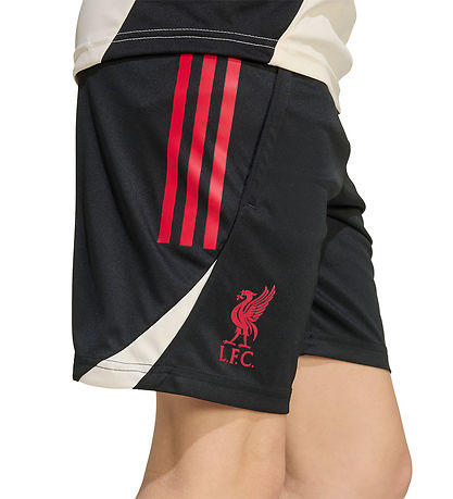 adidas Performance Shorts - Liverpool - Black adidas Performance Shorts - Liverpool - Black