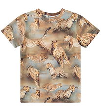 Molo T-shirt - Ralphie - Fast Cheetahs Molo T-shirt - Ralphie - Fast Cheetahs