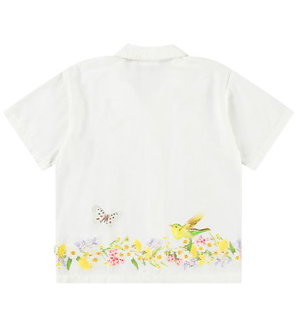 Molo Shirt - Rui - Picturesque