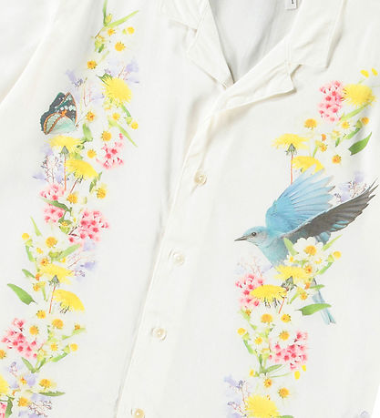 Molo Shirt - Rui - Picturesque