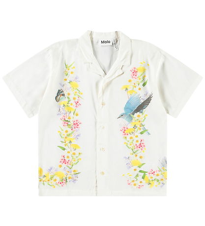 Molo Shirt - Rui - Picturesque