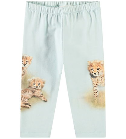 Molo Trousers - Simway - Cheetahs Cute Molo Trousers - Simway - Cheetahs Cute