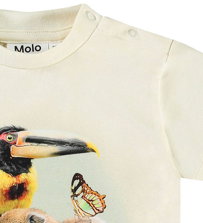 Molo T-shirt - Enzo - Jungle Friends Molo T-shirt - Enzo - Jungle Friends