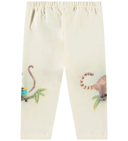 Molo Hosen - Simway - Freundlich Jungle
