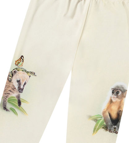 Molo Hosen - Simway - Freundlich Jungle