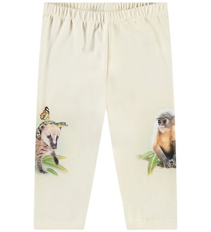 Molo Hosen - Simway - Freundlich Jungle