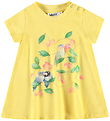 Molo Dress - Cosimo - Love Birds Dress Molo Dress - Cosimo - Love Birds Dress