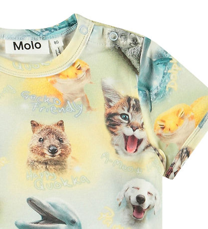 T-Shirt Molo - Easy - Oursons souriants