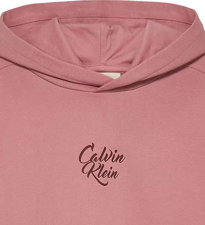 Calvin Klein Hoodie - Script Logo Graphic - Brandied Apricot