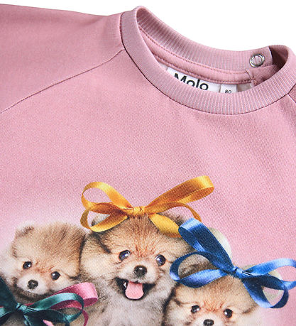Molo Sweatshirt - Disc - Ribbon Play Molo Sweatshirt - Disc - Ribbon Play