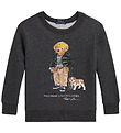 Polo Ralph Lauren Sweatshirt - Classic - Grey w. Soft Toy