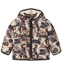 Molo Puffer Jacket - Harmony - Dachshund Soft