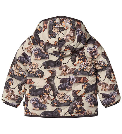 Molo Steppjacke - Harmony - Dackel Soft