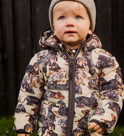 Molo Steppjacke - Harmony - Dackel Soft