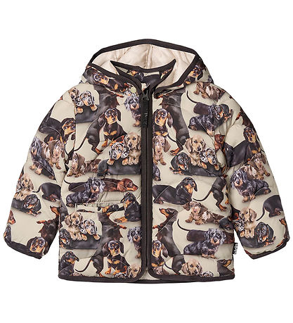 Molo Steppjacke - Harmony - Dackel Soft