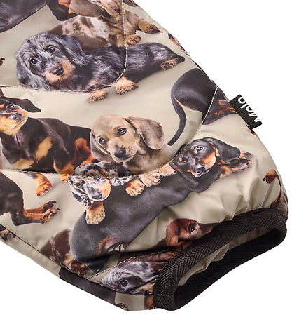 Molo Ski Pants - Percy - Dachshund Soft