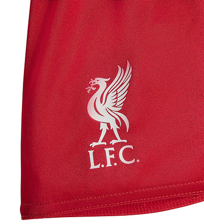 adidas Performance Fótboltabúningur - Liverpool 25/26 Heimavöllu