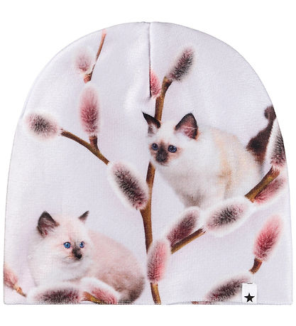Molo Beanie/Gloves - Kaya - Willow CAT Molo Beanie/Gloves - Kaya - Willow CAT