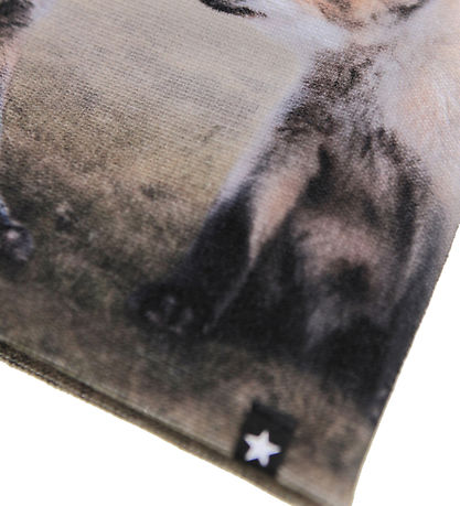 Molo Beanie/Gloves - Kaya - Fox Cubs
