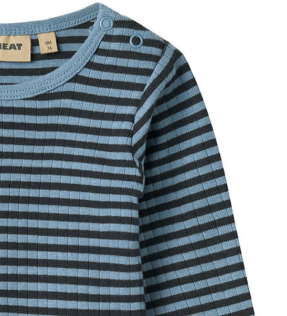 Wheat Body I/e - Rib - Berti - Bright Blue Stripe