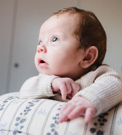 That's Mine Nursing Pillow - Moon - Bell Flower That's Mine Nursing Pillow - Moon - Bell Flower
