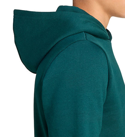adidas Original Kapuzenpullover - Aurora Efeu