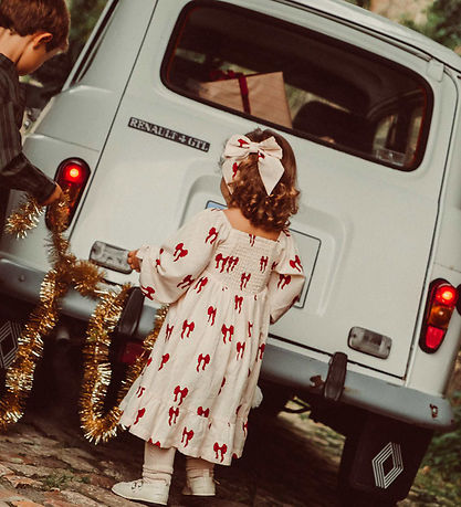 That's Mine Dress - Sarah - Rouge Loop