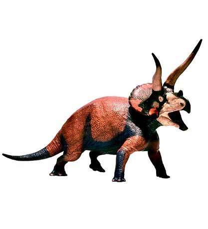 EoFauna - 13.5 x 20 cm - Triceratops Dominant