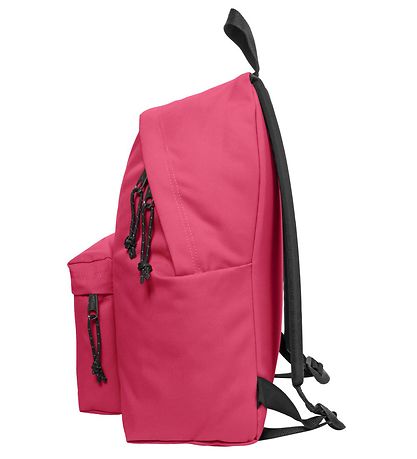 Eastpak 백팩 - 패딩 파커 - 24L - 핑크 이스케이프