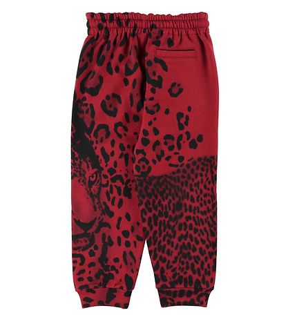 Dolce & Gabbana Sweatpants - Animals - Red Leo